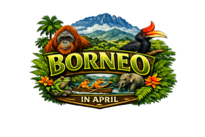 Borneo Logo